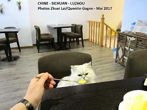 Luzhou 121